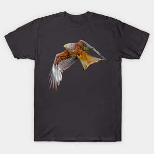 Red Kite in flight T-Shirt